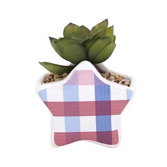 Celebrate Together™ Americana Star Succulent Table Decor