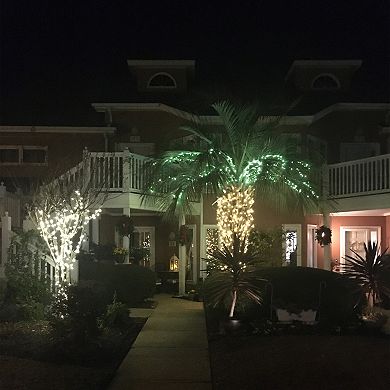 Bethlehem Lighting Commercial Grade 100ct Mini Christmas Light Set