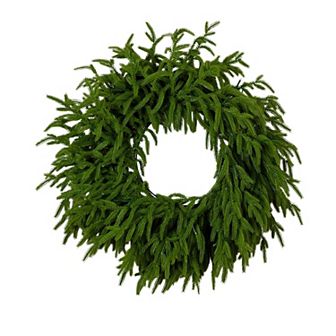 Nearly Natural 20-Inch Pre-Lit Artificial Real Touch Norfolk Island Pine Wreath