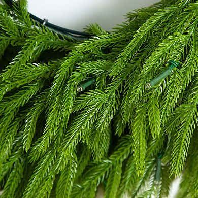 Nearly Natural 20-Inch Pre-Lit Artificial Real Touch Norfolk Island Pine Wreath