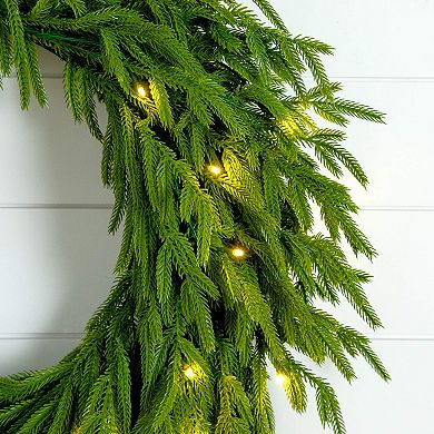 Nearly Natural 24-Inch Pre-Lit Artificial Real Touch Norfolk Island Pine Wreath