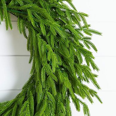 Nearly Natural 24-Inch Pre-Lit Artificial Real Touch Norfolk Island Pine Wreath