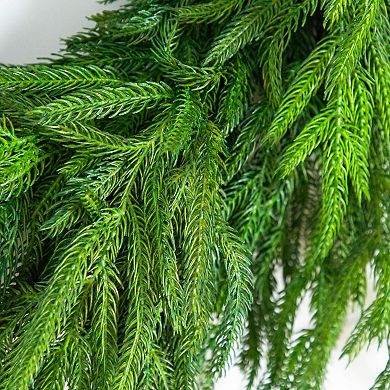 nearly natural 24-Inch Artificial Real Touch Norfolk Island Pine Wreath