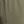 Medium Olive