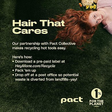 This Totally Blows! Ionic Compact Hair Dryer