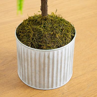 nearly natural 3-ft. Artificial Real Touch Norfolk Island Pine in Metal Tin Planter