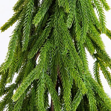 nearly natural 20-Inch Artificial Real Touch Norfolk Island Pine in Christmas Planter