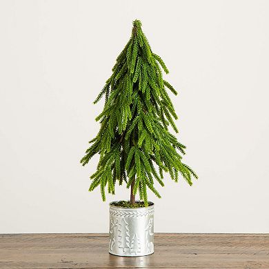 nearly natural 20-Inch Artificial Real Touch Norfolk Island Pine in Christmas Planter