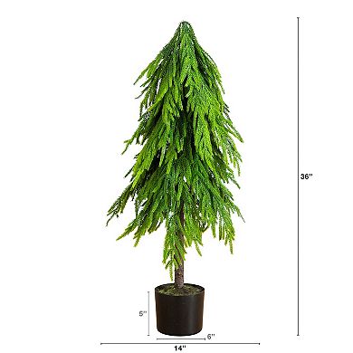 nearly natural 3-ft. Artificial Real Touch Down Swept Norfolk Pine Tree