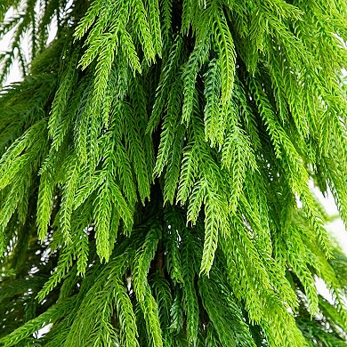 nearly natural 5-ft. Artificial Real Touch Down Swept Norfolk Pine Tree