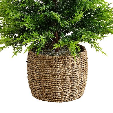 Nearly Natural 3-ft. Pre-Lit Artificial Lightly Snowed Cypress Christmas Tree