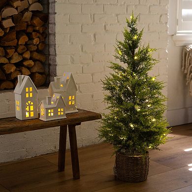 Nearly Natural 3-ft. Pre-Lit Artificial Lightly Snowed Cypress Christmas Tree