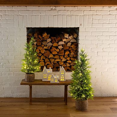 Nearly Natural 3-ft. Pre-Lit Artificial Lightly Snowed Cypress Christmas Tree