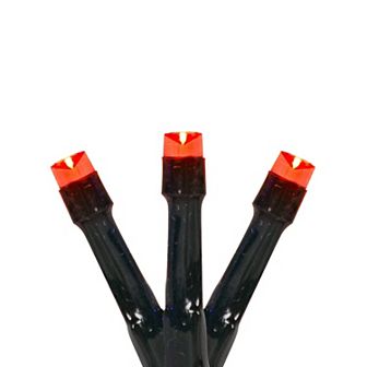 Northlight 20 pk Green Wire Battery Operated LED Christmas Lights