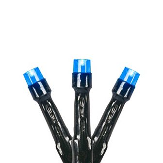 Northlight 20 pk Green Wire Battery Operated LED Christmas Lights