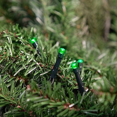 Northlight 20-pk. 9.5 ft. Green Wire Battery Operated LED Christmas Lights