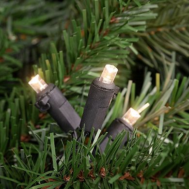 Northlight 50 ct 16.25 ft. LED Wide Angle Christmas Lights