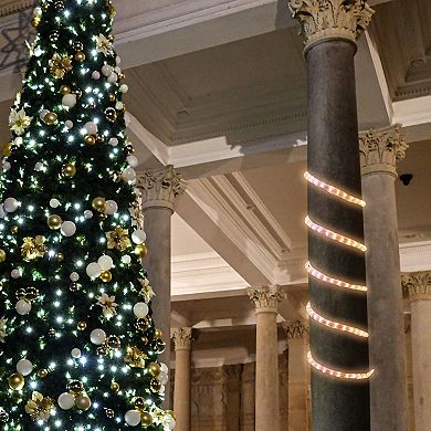 Northlight Incandescent Christmas Rope Lights 18-ft.