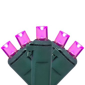 Northlight 50-Count Pink LED Wide Angle Christmas Lights 16.25-ft. Green Wire