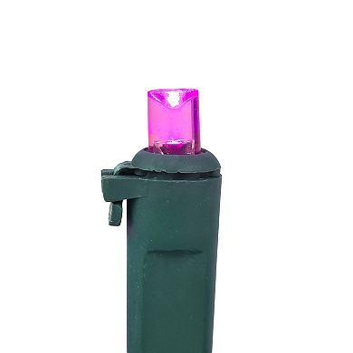 Northlight 50-Count Pink LED Wide Angle Christmas Lights 16.25-ft. Green Wire