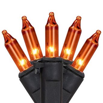 Northlight 50 ct 10-ft. Black Wire Mini Christmas Lights