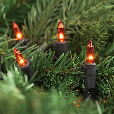 Northlight 50 ct 10-ft. Black Wire Mini Christmas Lights