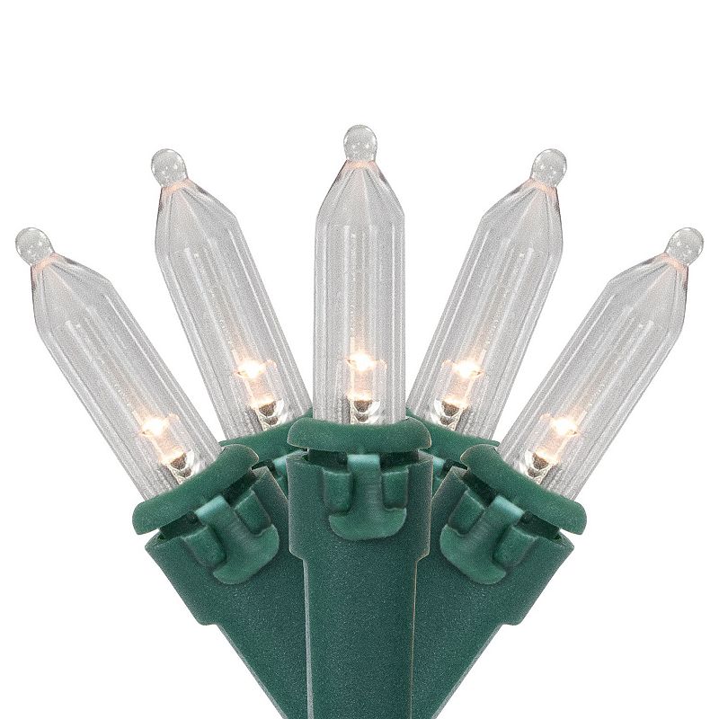 Northlight 50-pc. Battery Operated LED Mini Christmas Lights, Multi