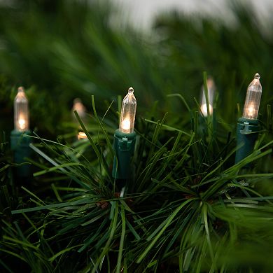 Northlight 50-pc. Battery Operated LED Mini Christmas Lights