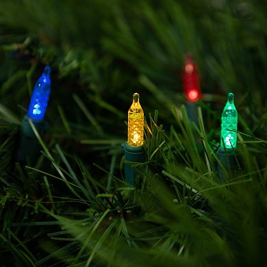 Northlight 50-pc. Battery Operated LED M5 Faceted Christmas Lights
