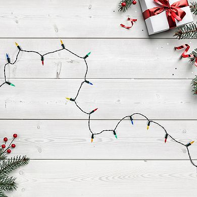 Northlight 50-pc. Battery Operated LED M5 Faceted Christmas Lights