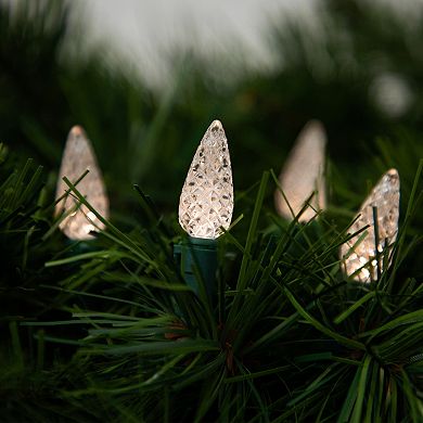 Northlight 15.75-ft. 50-Count Battery-Operated LED C6 Faceted Christmas Lights