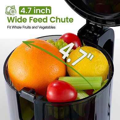 Ventray Cold Press Juicer 4.7" Large Feed Chute Masticating Juicer for Vegetables & Fruits