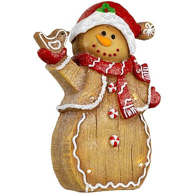 Northlight LED Lighted Gingerbread Snowman with Bird Christmas Figure 15-Inch