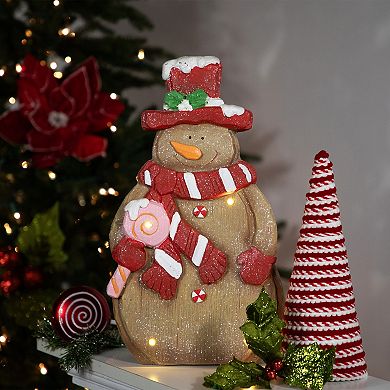Northlight LED Lighted Gingerbread Snowman Figure with Lollipop 15.5-Inch