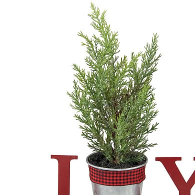 Northlight Potted Faux Pine in Metal "JOY" Planter Christmas Decoration Table Decor