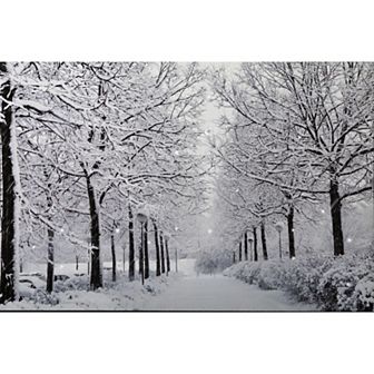 Northlight Fiber Optic Lighted Winter Lane Wall Decor