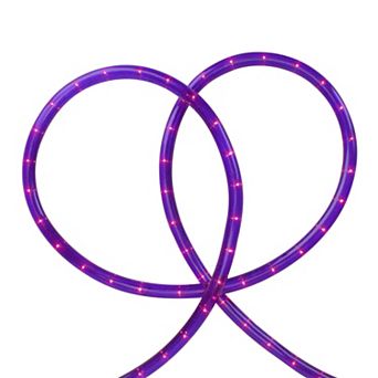 Northlight Flexible Outdoor Incandescent Christmas Rope Lights - 18' Clear Wire