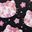 Rry Blossoms