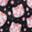 Cherry Blossoms