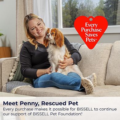 BISSELL PowerClean Cordless Stick Vacuum (4194)