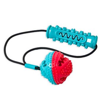 Flipo Ruff & Ready Duo™ Dental Chew & Tug Toy