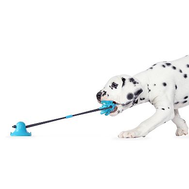 Flipo Ruff & Ready Solo™ Dental Chew & Tug Toy