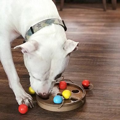 Flipo Group Limited Brainiac Bat-A-Ball Interactive Pet Toy