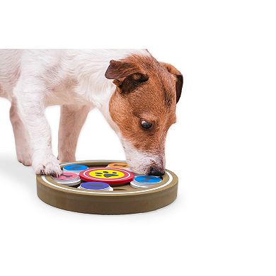 Flipo Group Limited Brainiac Disc-O Treat Dispensing Pet Toy