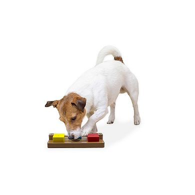 Flipo Group Limited Brainiac Flip-Flop-Fido Treat Dispensing Pet Toy