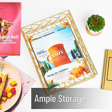 Mind Reader Modern Metal Document Organizer