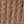 Honey Beige