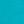 Dusty Cactus