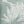 Silica Green