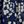 Navy Tossed Daisies